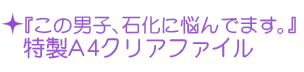 特製A4クリアファイル